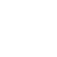 Shield Icon