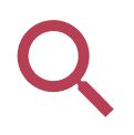Search Icon